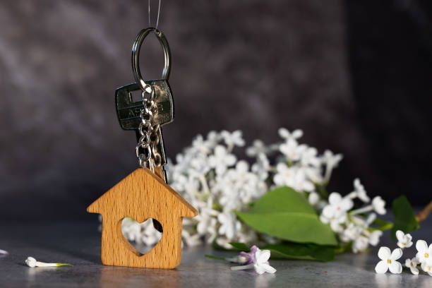 How Affordable Home Loan Programs Can Cut Upfront Costs